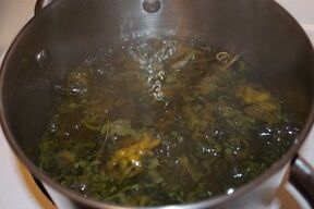 汤剂治疗静脉曲张